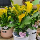 원복농장 이미지