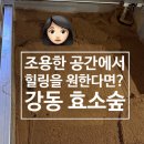 효소생활(주) | [강동구 효소찜질] 효소숲본점 솔직 후기｜편안한 분위기와 친절한 응대가 인상적이었던 방문기