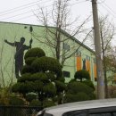 안산 와동체육관 이미지