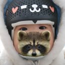 (주)이노야드 | [두상 교정] 아기 사두증 교정 이노야드 수원 교정 헬멧 2개월-3개월 후기