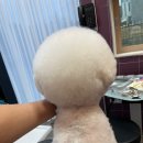 스퀘어독스 서산점 이미지