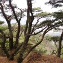 대산면(순창) 이미지
