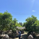 제성농장 이미지