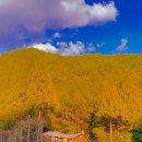 모노라마 이미지