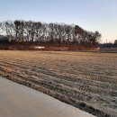 월롱공인중개사사무소 이미지