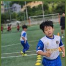 김태영축구장 | 경산유소년 BK축구센터-경산의 축구 천국!