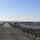 안산-대부-대부-3 이미지