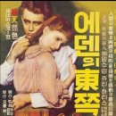 East Of Eden OST ( 에덴의 동쪽) / Mantovani Orchestra 이미지