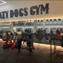 크레이지독스짐 이미지