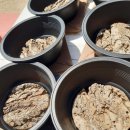 김광석 농장 이미지