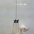 한마음펫 이미지