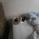 7월 첫 번째 토요일 (권가제면소, 김치볶음밥)