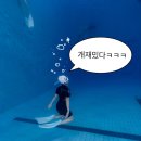 [잠실] 겟잇다이브 프리다이빙 체험 후기! (대.만.족)