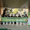 그린카펫 이미지