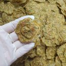 대한견식 이미지