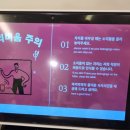 제주 사라봉 일제동굴진지 | 사라봉 및 이재모 피자 제주점