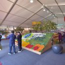 제15회 청송사과축제 이미지