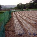 승규농장 이미지