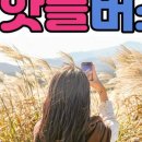제주투어시대 네이버블로그