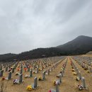 [대전] 갑동숯불민물장어/카페스테이인터뷰 갑동점