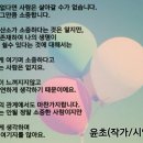 문홀딩스 이미지