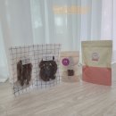 까까댕댕 이미지