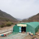 건슐랭 | 양산맛집리뷰_원동 미나리캠프(미나리삼겹살)