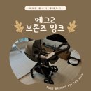 에그2 유모차 브론즈에디션 밍크색상 구매 후기