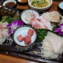 더 센다이 이미지