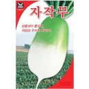 A0228 이미지