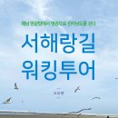 [고대교우회보 제639호 2023년 10월] 신간 | 바다따라 흙길따라 걷는 여행길 外 이미지