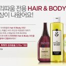 파코헤어라인