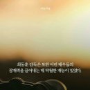 살리더