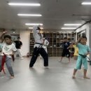 메이트 태권도 이미지