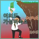 더코노셔 | 여의도 가성비 레지던스? 더코노셔 레지던스, 내돈내산 후기!