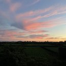 제주올리브스파앤풀빌라 이미지