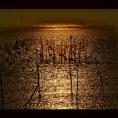 일출과 일몰 이미지