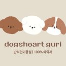 독스하트 구리 이미지