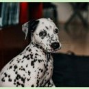 믿음병원 이미지