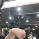 [아주대 스타덤핏 pt 4회차 후기] 와 운동 좋다 최고최고^^