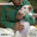 백사농장 이미지