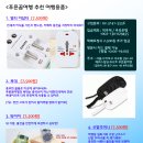 푸른꿈여행