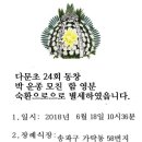 운종 이미지