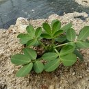 순기농장 네이버블로그