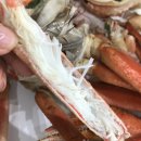 금정수산 이미지