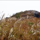 능선목장 이미지