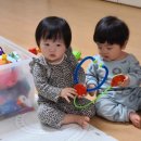 하누까까 이미지