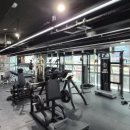 휘트니스 니즈 이미지