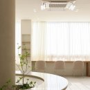 로니헤어 이미지