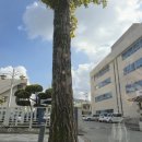 광주두암동우체국 이미지